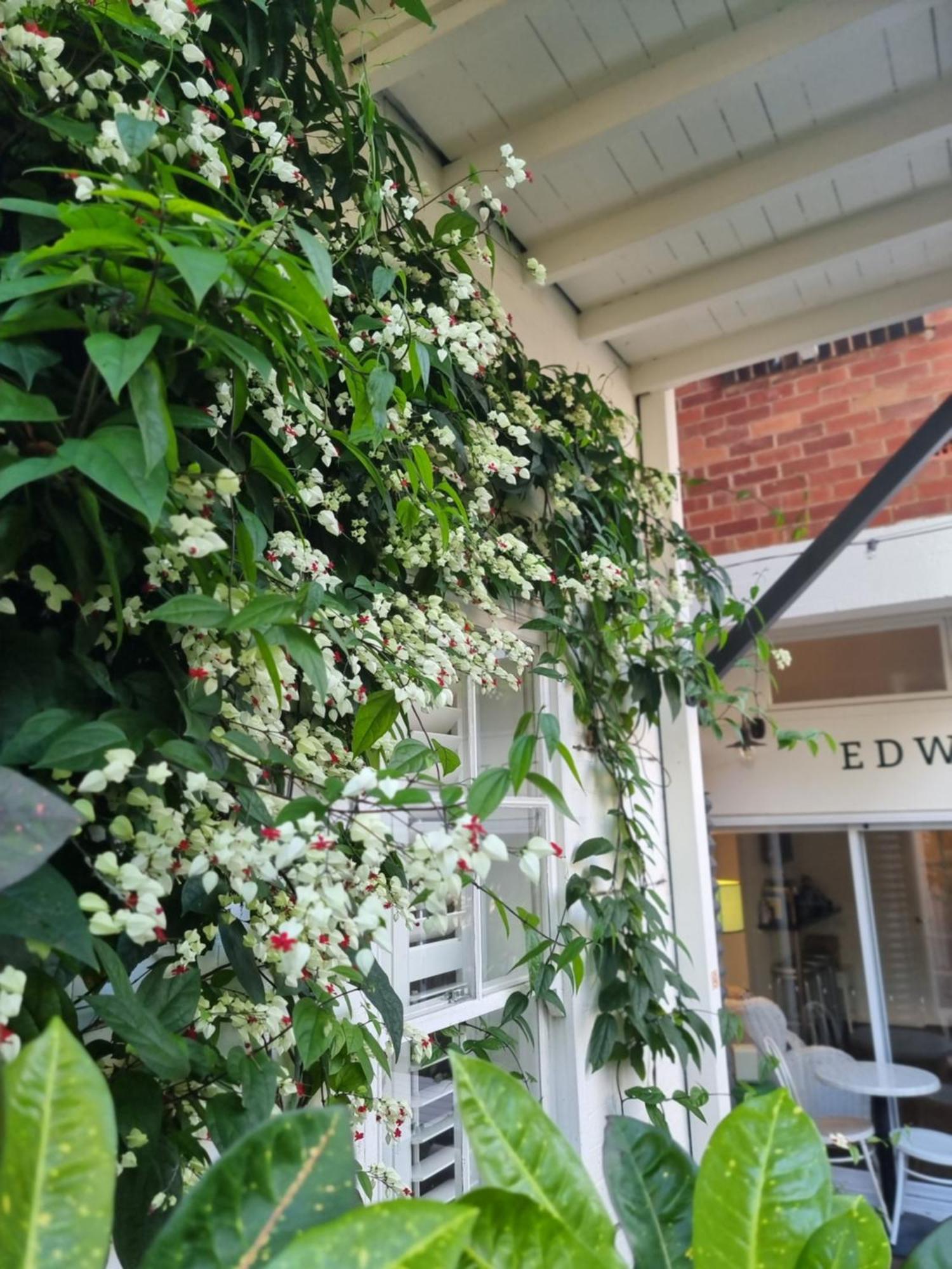 Edward Lodge New Fam Brisbane Exterior photo